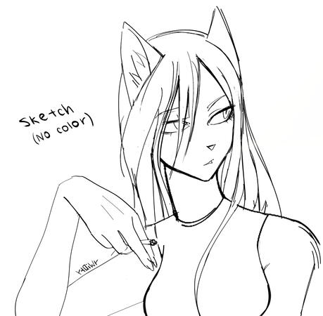 Sketch Sketch